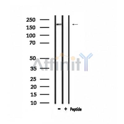 Валидация Affinity DF3358 - 14228