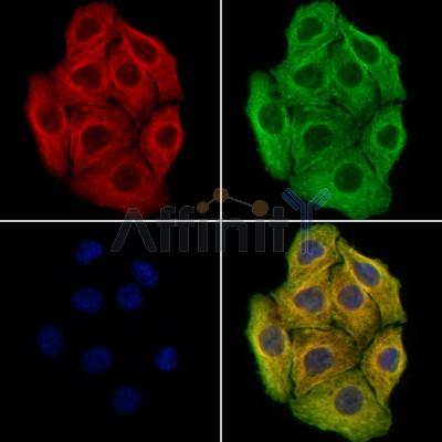 Валидация Affinity DF13310 - 8463