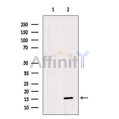 Валидация Affinity DF4171 - 15507