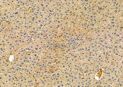 Валидация Affinity DF9330 - 21808