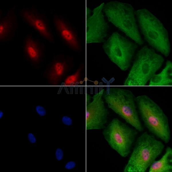 Валидация Affinity DF2364 - 12938