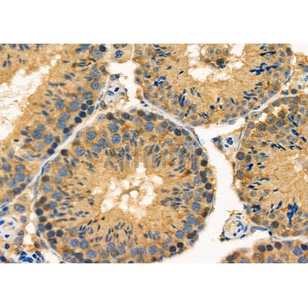 Валидация Affinity DF4920 - 16735