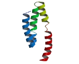 Nuclear Receptor Binding Factor 2 (NRBF2) Nuclear Receptor Binding Factor 2 (NRBF2)