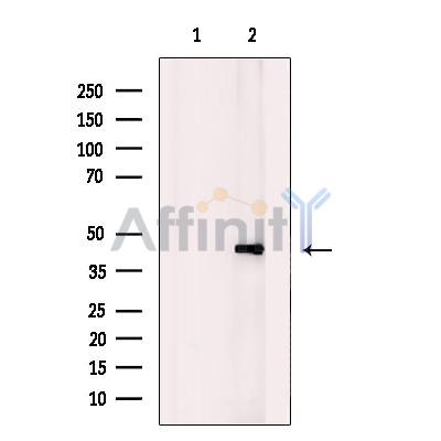 Валидация Affinity AF4798 - 2417