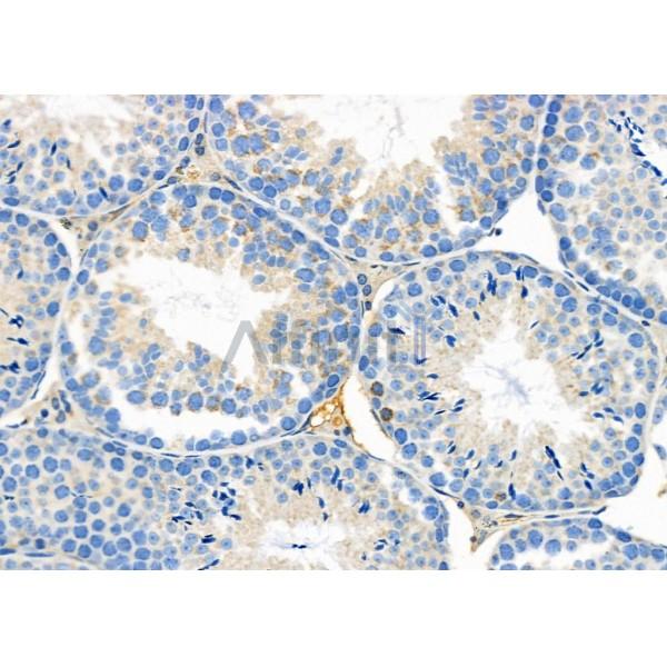 Валидация Affinity DF2539 - 13201