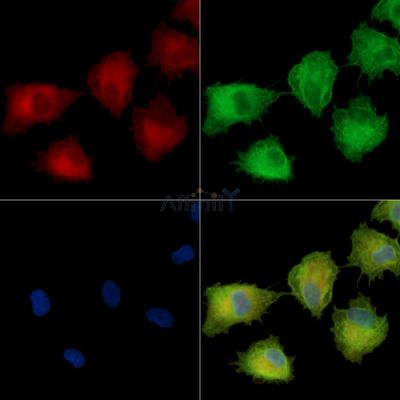 Валидация Affinity DF14463 - 10440