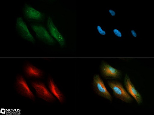 Валидация AssayVector ARM2385(4183)