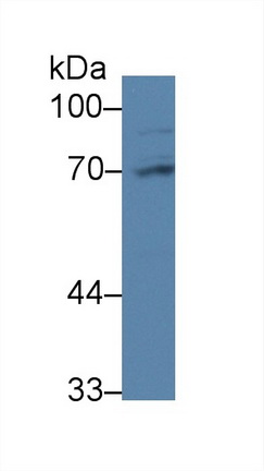 9380