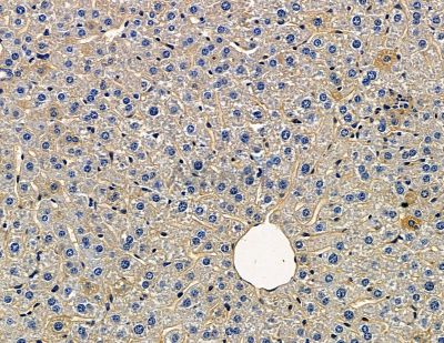 Валидация Affinity DF13942 - 9690