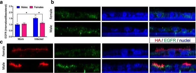 Валидация AssayVector ARM1109(302)