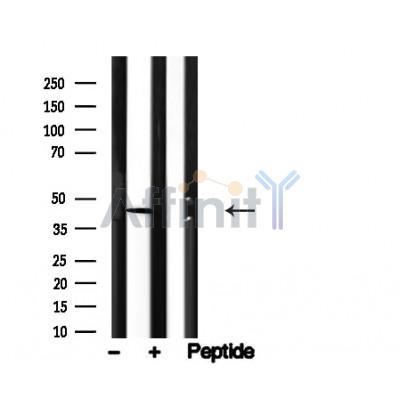 Валидация Affinity AF4734 - 2353
