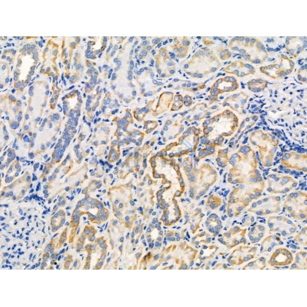 Валидация Affinity AF3933 - 2073