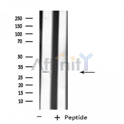 Валидация Affinity DF4528 - 16100
