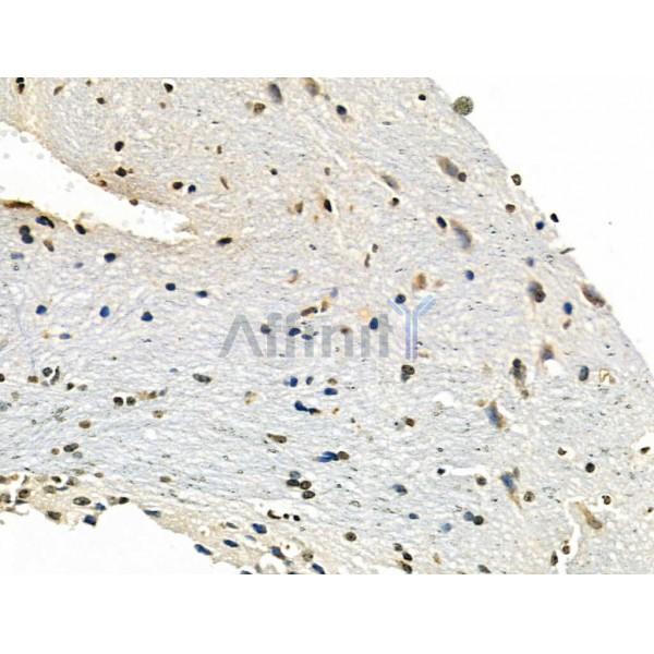 Валидация Affinity AF5255 - 2761