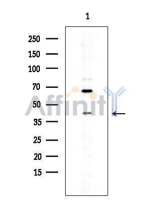Валидация Affinity DF10272 - 5878