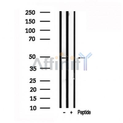 Валидация Affinity AF7578 - 4242