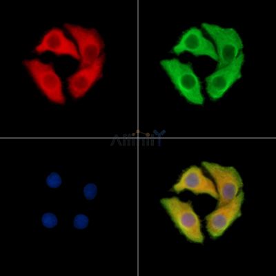 Валидация Affinity DF14888 - 11038