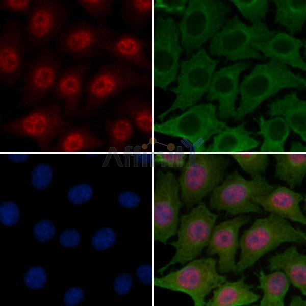 Валидация Affinity AF6486 - 3815