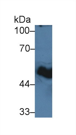 10175