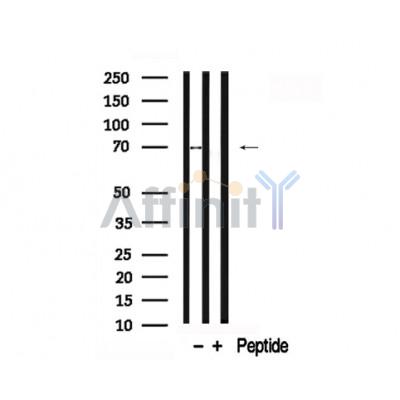 Валидация Affinity AF7724 - 4419
