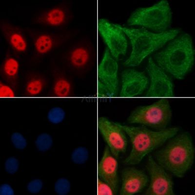 Валидация Affinity AF9192 - 5018