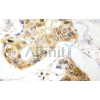 Валидация Affinity AF3465 - 1980