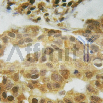 Валидация Affinity AF6073 - 3277