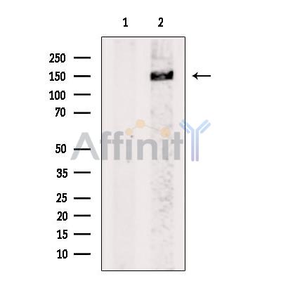 Валидация Affinity DF13211 - 8219