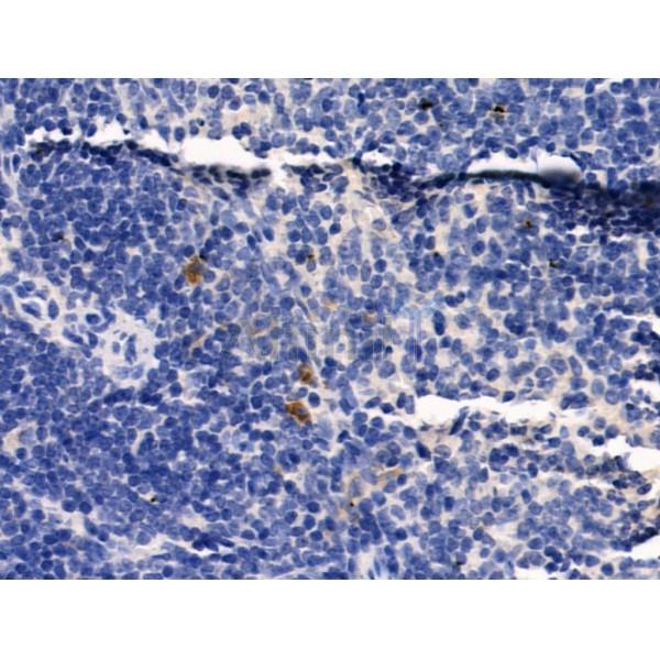 Валидация Affinity AF5453 - 3105