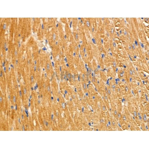 Валидация Affinity DF3843 - 14976