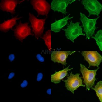 Валидация Affinity DF9505 - 22135