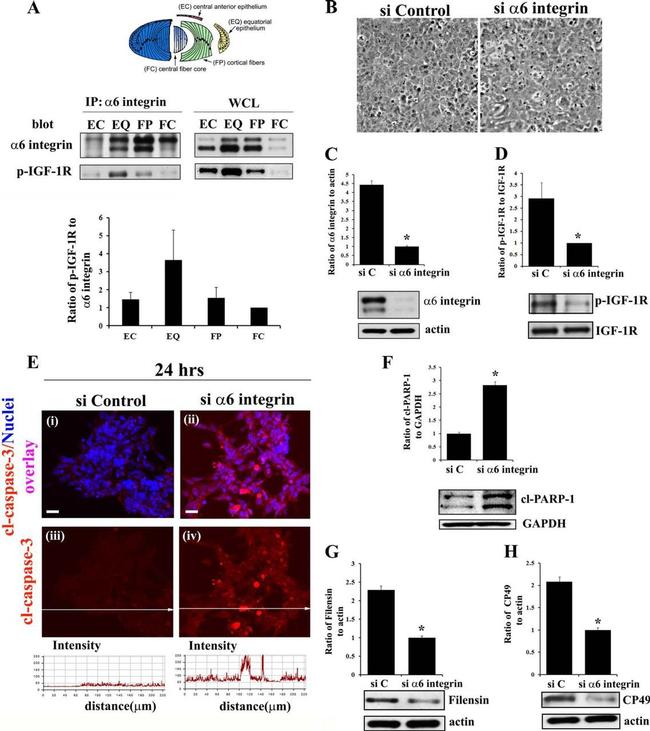 Валидация AssayVector ARM2217(3700)