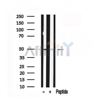 Валидация Affinity AF7558 - 4221