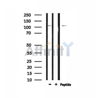 Валидация Affinity DF3423 - 14325