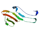 Olfactory Receptor 2F1 (OR2F1) Olfactory Receptor 2F1 (OR2F1)
