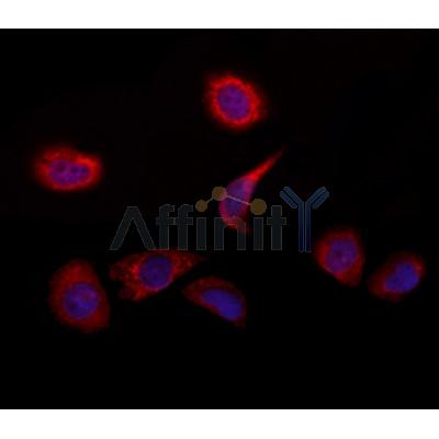 Валидация Affinity DF12006 - 6006