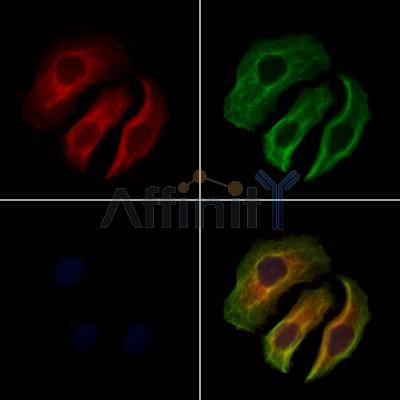 Валидация Affinity DF6142 - 17375