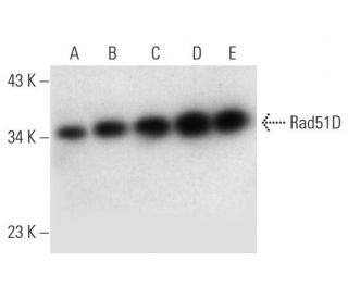 Валидация AssayVector ARM1688(1932)