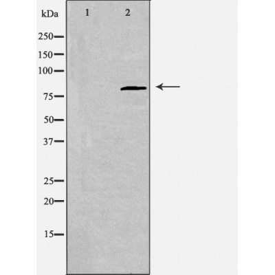 Валидация Affinity DF3529 - 14468