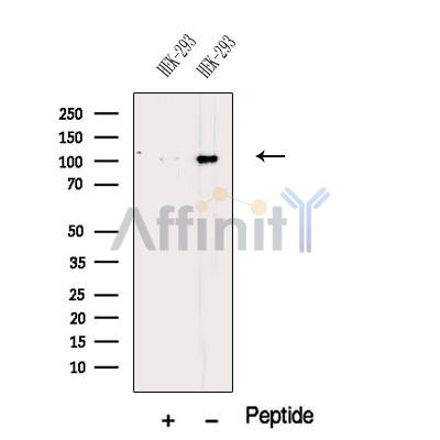 Валидация Affinity DF12542 - 7145