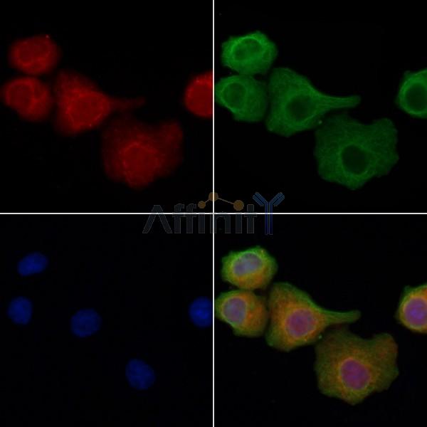 Валидация Affinity DF3260 - 14112