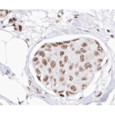 Валидация Affinity AF5406 - 3053