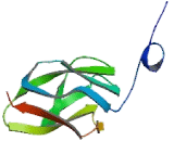 Early B-Cell Factor 2 (EBF2) Early B-Cell Factor 2 (EBF2)