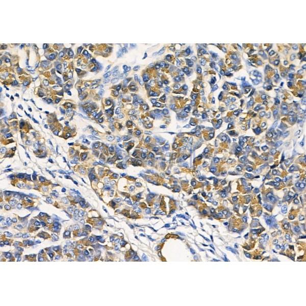 Валидация Affinity DF8397 - 20269