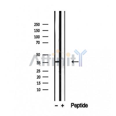 Валидация Affinity DF12473 - 7025