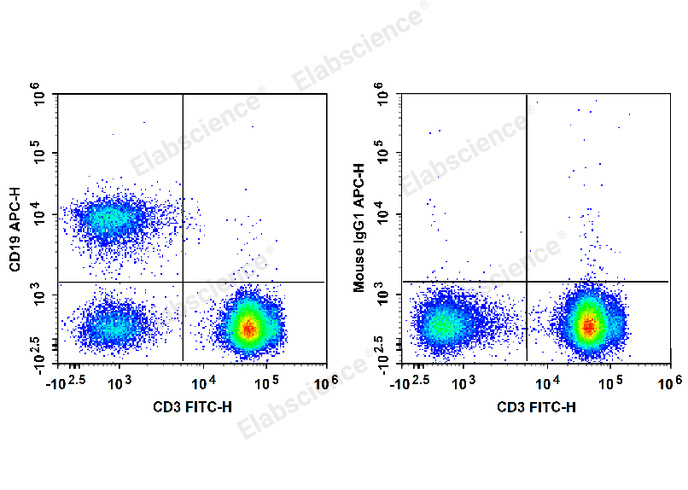 Валидация Elabscience E-AB-F1304E