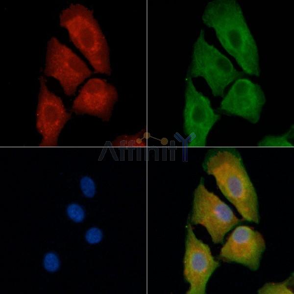 Валидация Affinity AF9070 - 4830