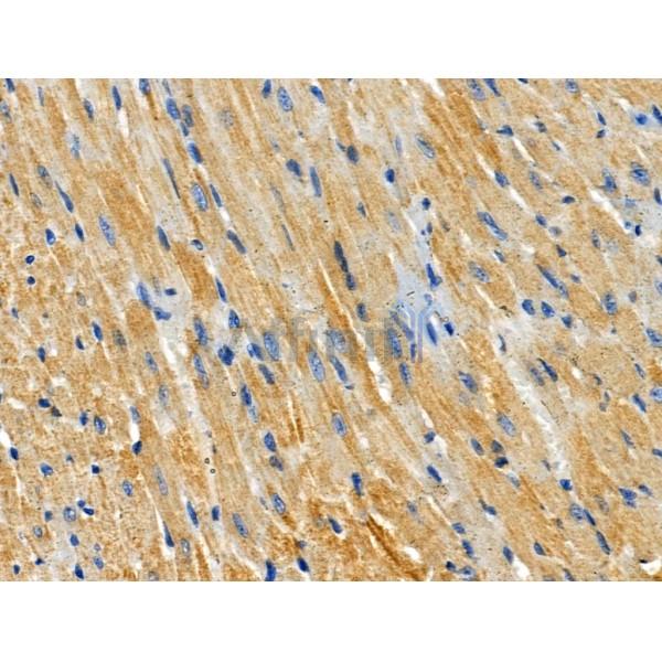 Валидация Affinity DF3939 - 15133