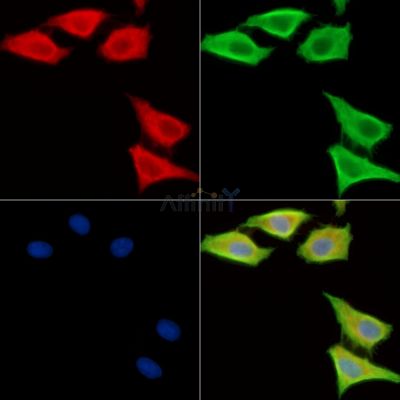 Валидация Affinity DF13969 - 9724