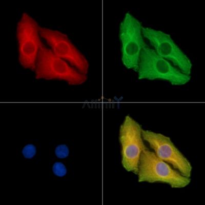 Валидация Affinity DF14501 - 10487